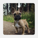 Search for french bulldog decor Pet
