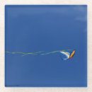 Search for macaws coasters Bird