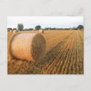 Search for harvester postcards Wheat