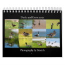 Search for geese calendars Ducks