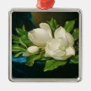 Search for magnolia christmas tree decorations Martin johnson heade