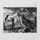 Search for companion postcards Owls