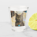 Search for russian photography Pet