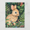 Search for bunny drawing postcards Forest
