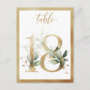 Search for 18 table cards Botanical