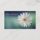 Search for daisy business cards Floral