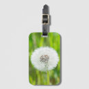 Search for fragile luggage tags Delicate
