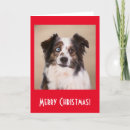 Search for red dog art cards Dogs