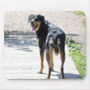 Search for rottweiller mousepads Black