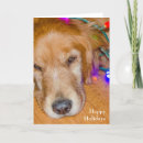 Search for tangled lights christmas cards Humour