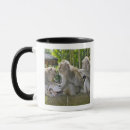 Search for macaque mugs Full length