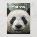 Search for nature reserve postcards Travel