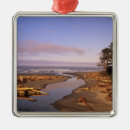 Search for pacific northwest christmas tree decorations Usa