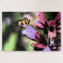 Search for wildlife photography puzzles Green