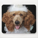 Search for dog party electronics Humour