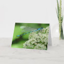 Search for dragonfly birthday cards Flowers