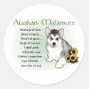 Search for alaskan malamute stickers Pets