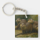Search for river otter key rings Otters