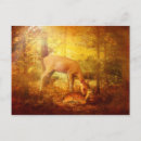 Search for comfortably postcards Fall