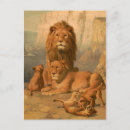 Search for lion cub postcards Cats