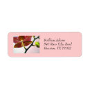 Search for orchid labels Exotic