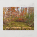 Search for oak postcards Autumn