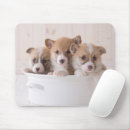 Search for corgi mousepads Queen's dog