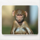 Search for baboon mousepads Monkey