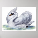 Search for vintage swan art White