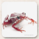 Search for dart coasters Reptiles