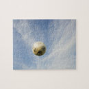 Search for tool puzzles Nature