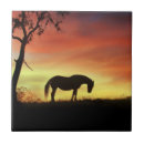 Search for southwestern tiles Horse