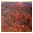 Search for utah tiles Barren
