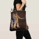 Search for cubs bags Photography