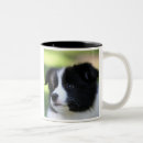 Search for border collie puppy mugs White