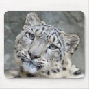 Search for puma mousepads Panther