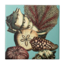 Search for turquoise fish tiles Sea