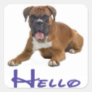Search for boxer stickers Dog