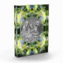 Search for hydrangea picture Nature