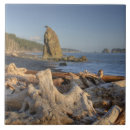Search for national park tiles Washington state