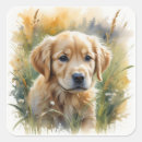 Search for golden retrievers stickers Cute