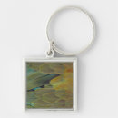 Search for bird square key rings One animal
