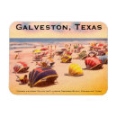 Search for galveston magnets Texas