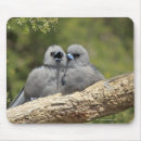 Search for full face mousepads Animal
