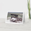 Search for fisherman cards Photography