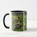 Search for baby ducklings mugs Animals