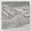 Search for aspen coasters Backcountry