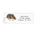 Search for mouse return address labels Animals