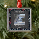 Search for new year home decor House picture