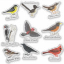 Search for backyard bird stickers Cardinal